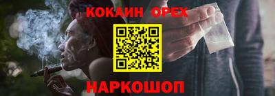 прущие грибы Гатчина