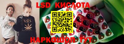 прущие грибы Гатчина