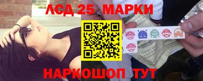 прущие грибы Гатчина