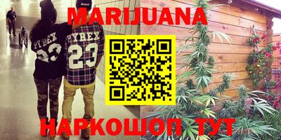 прущие грибы Гатчина