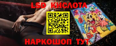 прущие грибы Гатчина