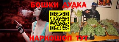 прущие грибы Гатчина