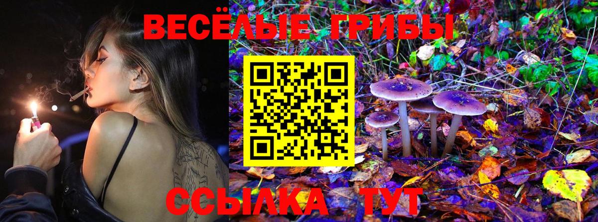 Псилоцибиновые грибы мухоморы Октябрьский